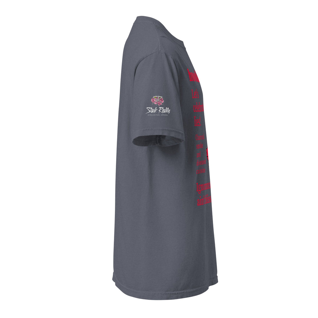 hoodku 26/Front Basic Men's garment - dyed heavyweight t-shirt - Stark Reality Intellectual Apparel