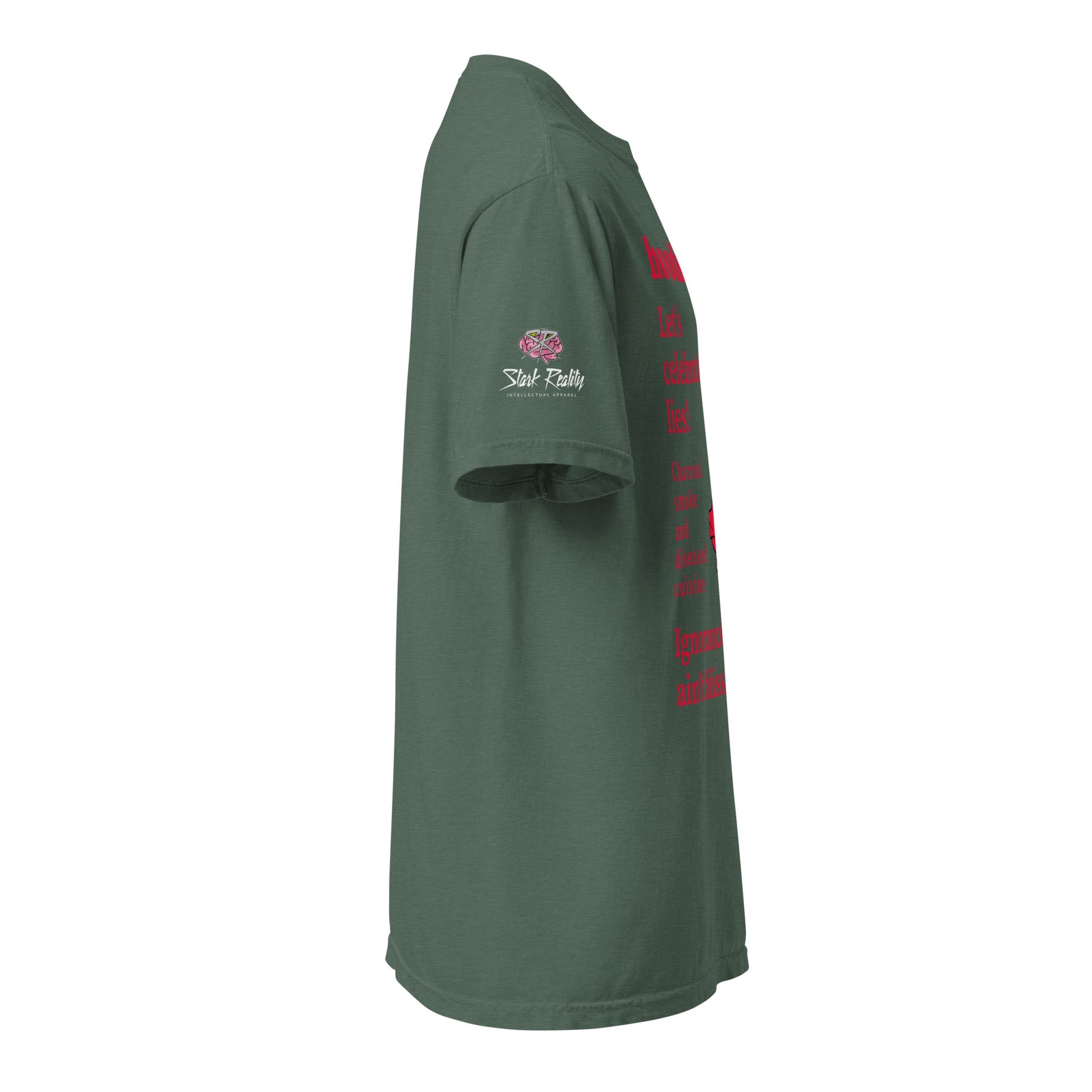 hoodku 26/Front Basic Men's garment - dyed heavyweight t-shirt - Stark Reality Intellectual Apparel