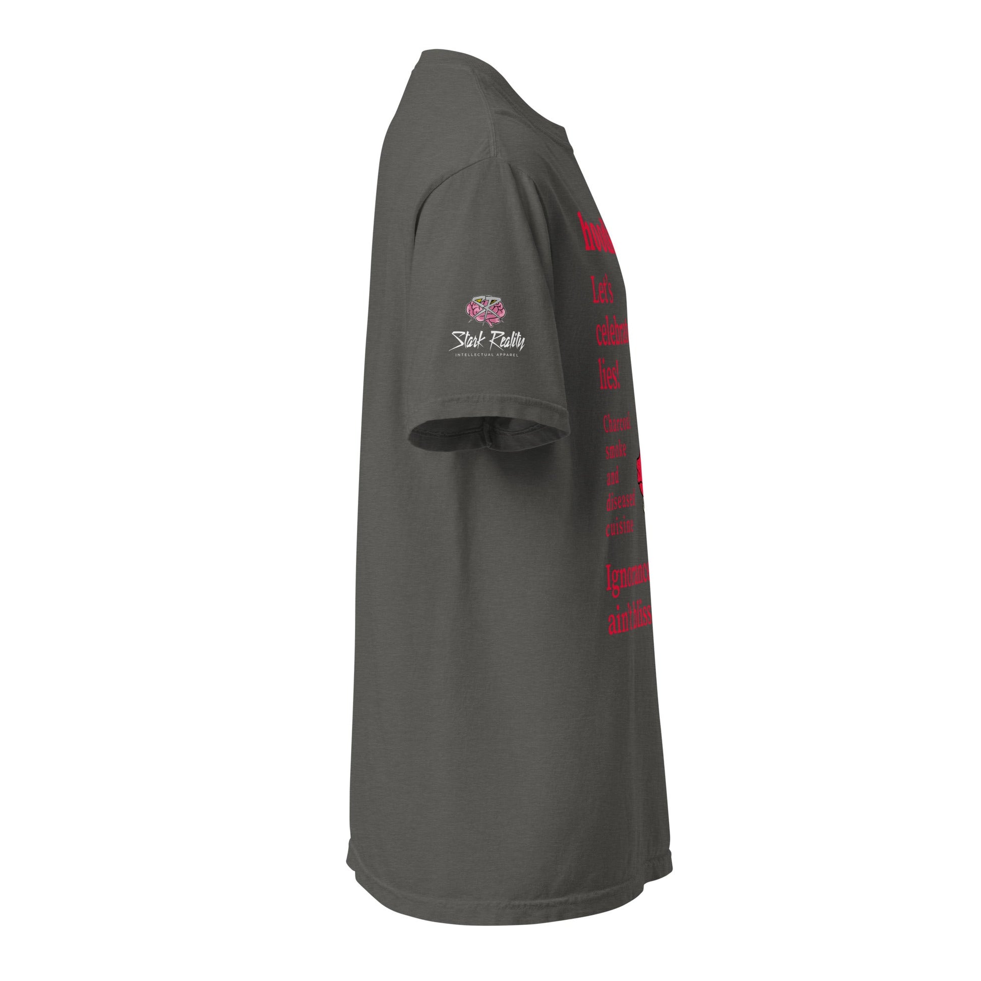 hoodku 26/Front Basic Men's garment - dyed heavyweight t-shirt - Stark Reality Intellectual Apparel